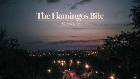 The Flamingos Bite presenta videoclip de su single «Roads»