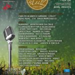 Cartel Festival de la luz 2015